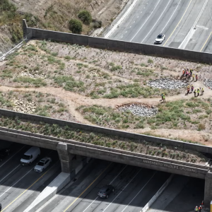 California’s wildlife bridge became a target for the right. Now it’s eyeing the finish line.